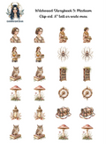 Wildwood Storybook 5 - Clipart